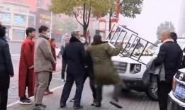 吉林爆料马路大爷视频最新,街头智慧守护者